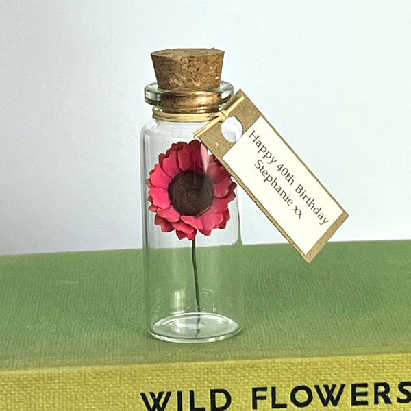 bright pink gerbera daisy flower, alternative card