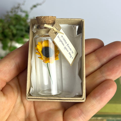 Tiny Sunflower In A Bottle With Personalised Message