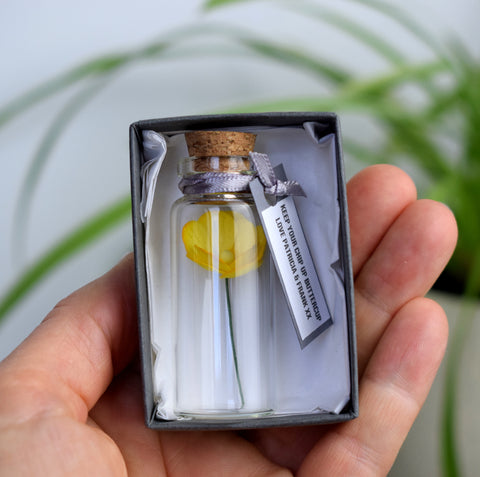Tiny Buttercup In A Bottle Personalised Gift
